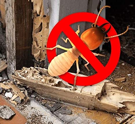 termites treatment