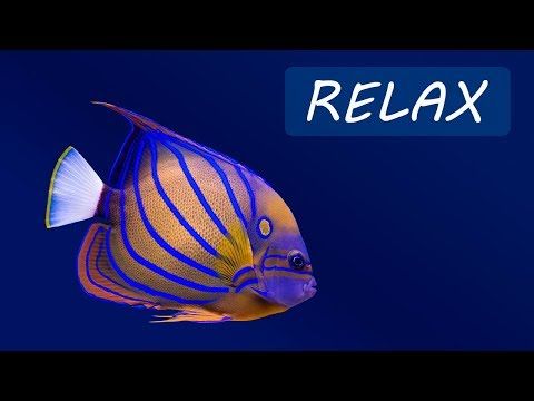 relaxing sleep sounds